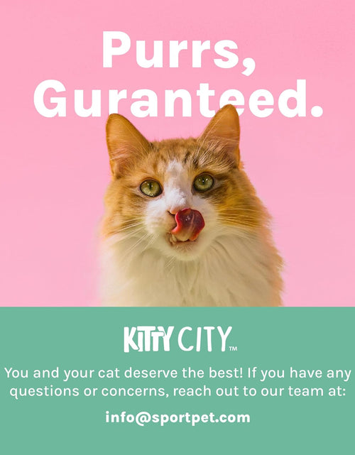 Load image into Gallery viewer, Cat Bed, Cat House Bed,Sofa Bed, Cat Rope Bed
