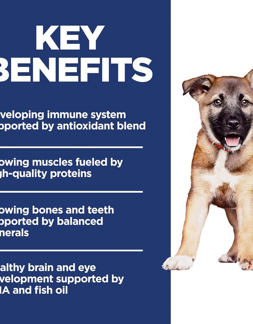 Load image into Gallery viewer, Dry Dog Food, Puppy, Large Breeds
