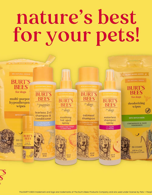 Load image into Gallery viewer, Burt'S Bees for Dogs Multipurpose Grooming Wipes, 50 Ct - Puppy and Dog Wipes for All Purpose Grooming - Burts Bees Wipes, Pet Wipes for Dogs, Puppy Wipes, Dog Face Wipes, Paw Wipes
