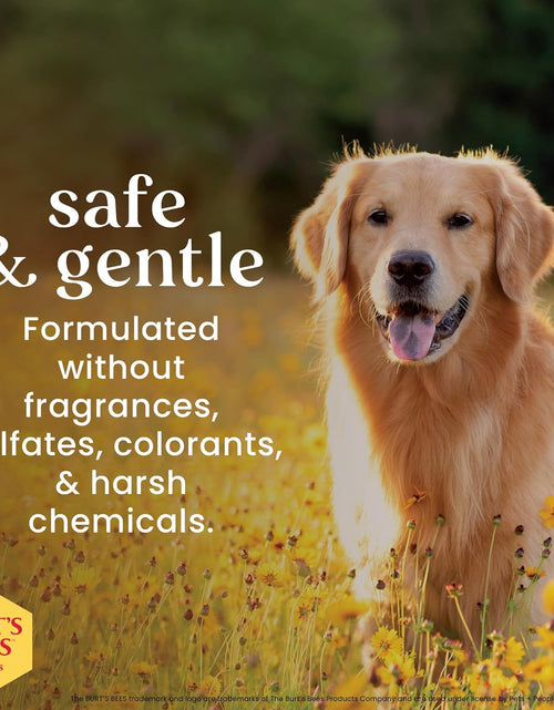 Load image into Gallery viewer, Burt'S Bees for Dogs Multipurpose Grooming Wipes, 50 Ct - Puppy and Dog Wipes for All Purpose Grooming - Burts Bees Wipes, Pet Wipes for Dogs, Puppy Wipes, Dog Face Wipes, Paw Wipes
