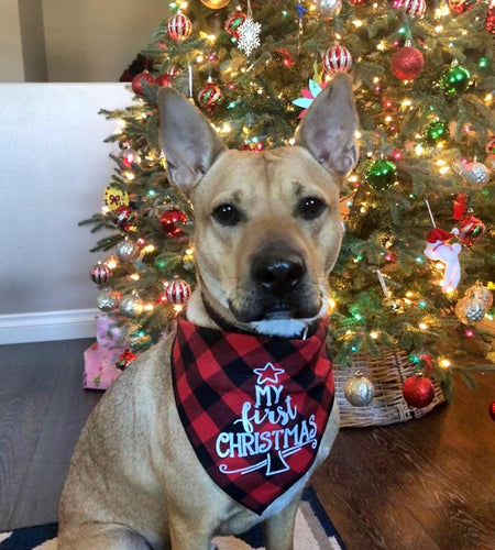 Dog First Christmas Bandana,Red Plaid Xmas Puppy Scarf